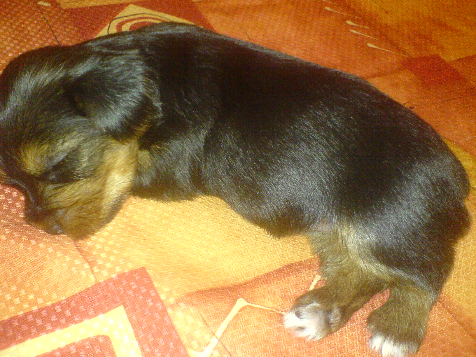 DSC00343.JPG